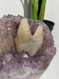 Image 5 of XXL SELF STANDING SUGAR AMETHYST X CALCITE -URUGUAY-