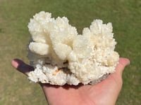 Image 12 of White Calcite Crystal Reef Formation Specimen #1240