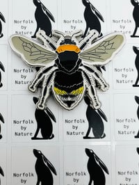 Image 8 of Norfolk Wildlife Magnets - Choose a species: