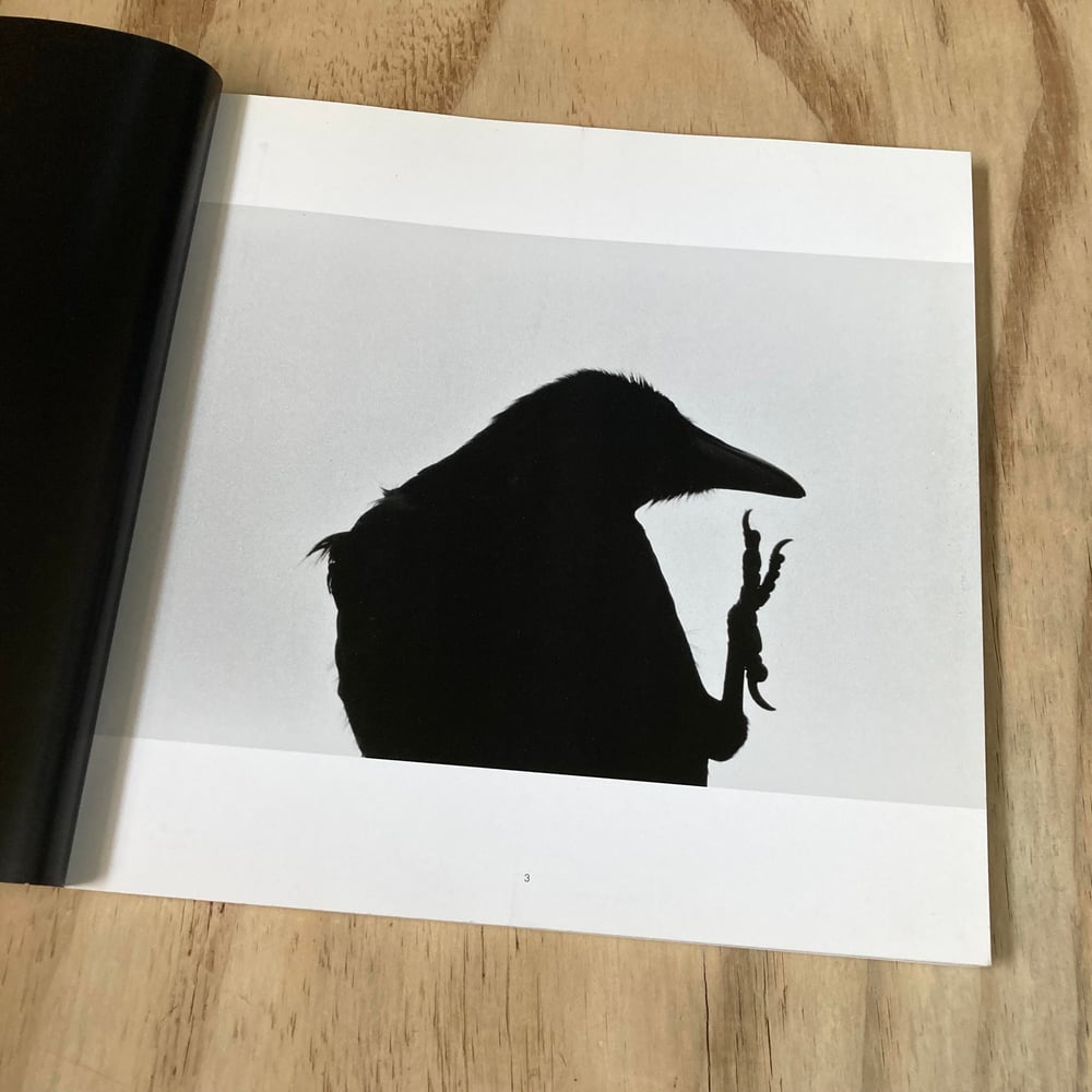 Masahisa Fukase - The Solitude Of Ravens (1st U.S)