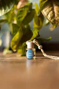 Image 2 of Luxury Car Diffuser