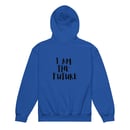 Image 4 of Youth heavy blend embroidered hoodie