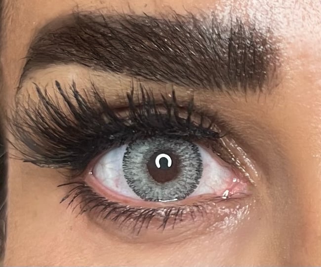 FreshTone Premium Satin Gray (New Look)