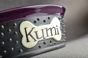 Image of Personalized Spiky Dog Bowl Set 