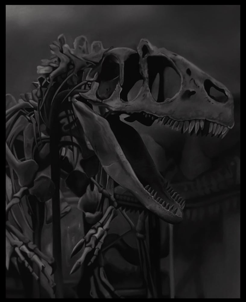 Image of Darker days - dinosaur skeleton 