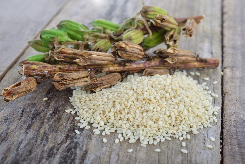 HIGH PROTEIN Raw-UNheated-Fine Pressed-Black/White Sesame Seeds & Protein Powder-Muscle-Gains