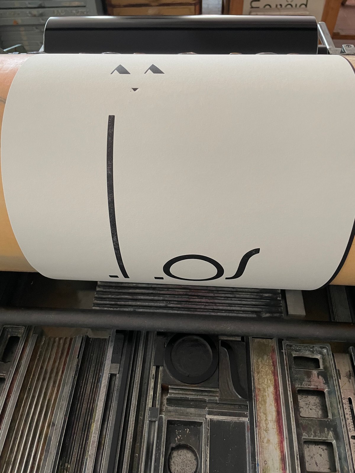 Image of IL GIORNALE DEI GATTI