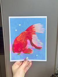 Image 1 of Goldfish Print