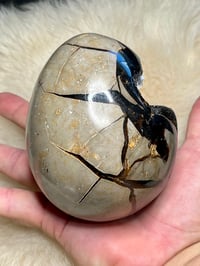 Image 7 of Septarian Egg With Calcite #2420