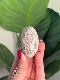 Image 1 of MEXICAN LACE AGATE SHIVA I