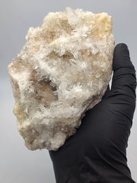 Image 10 of Chrysanthemum Quartz Crystal Rare Specimen with Stand- 2 Styles