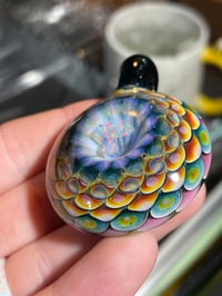 Image 2 of rainforest rainbow 