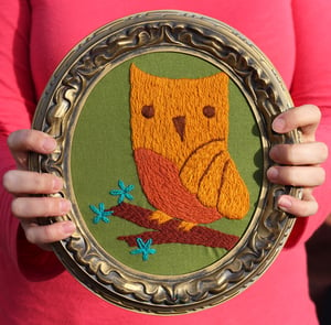 Image of Owl Crewel Embroidery Kit