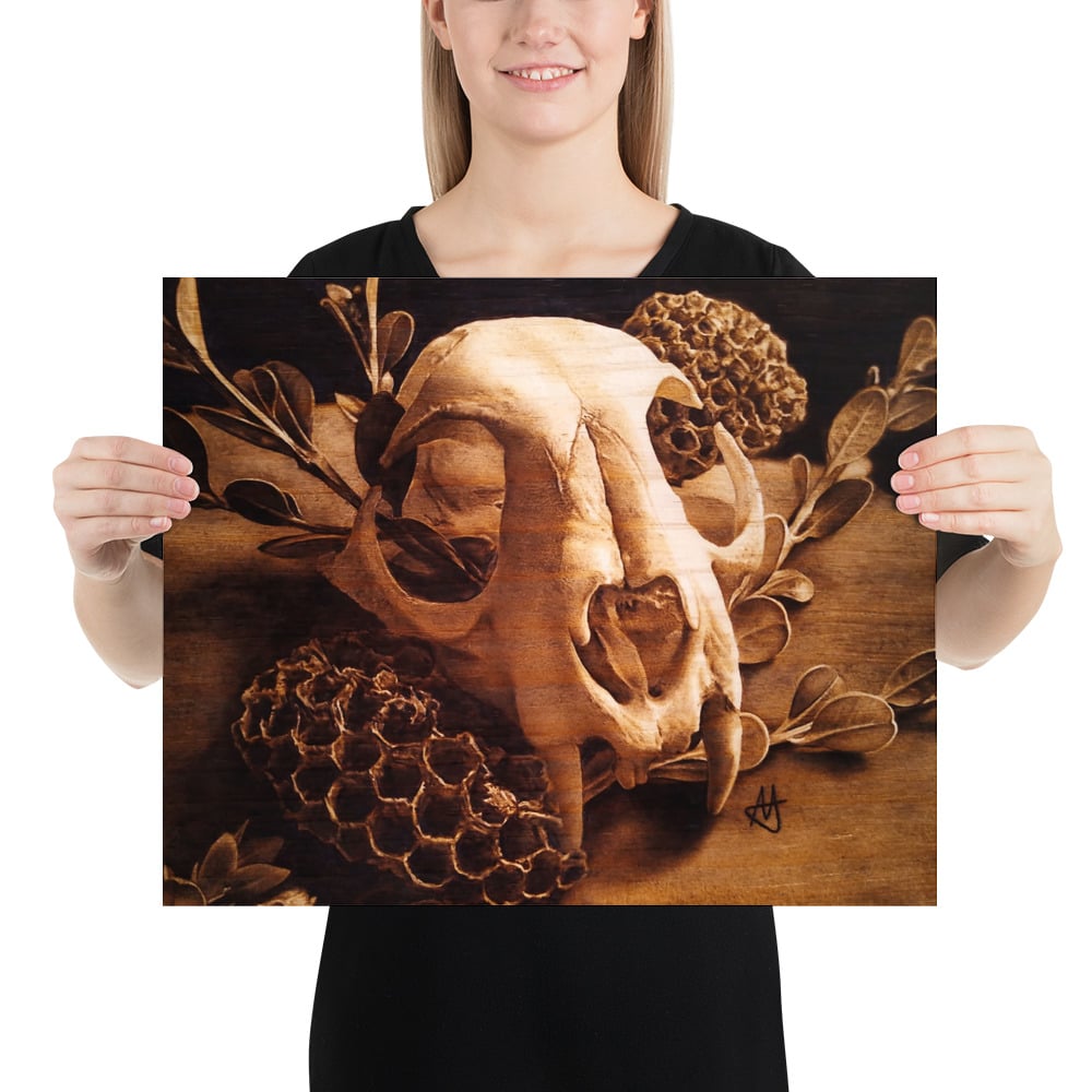 Photo Print: Bobcat Skull and Honeycombs