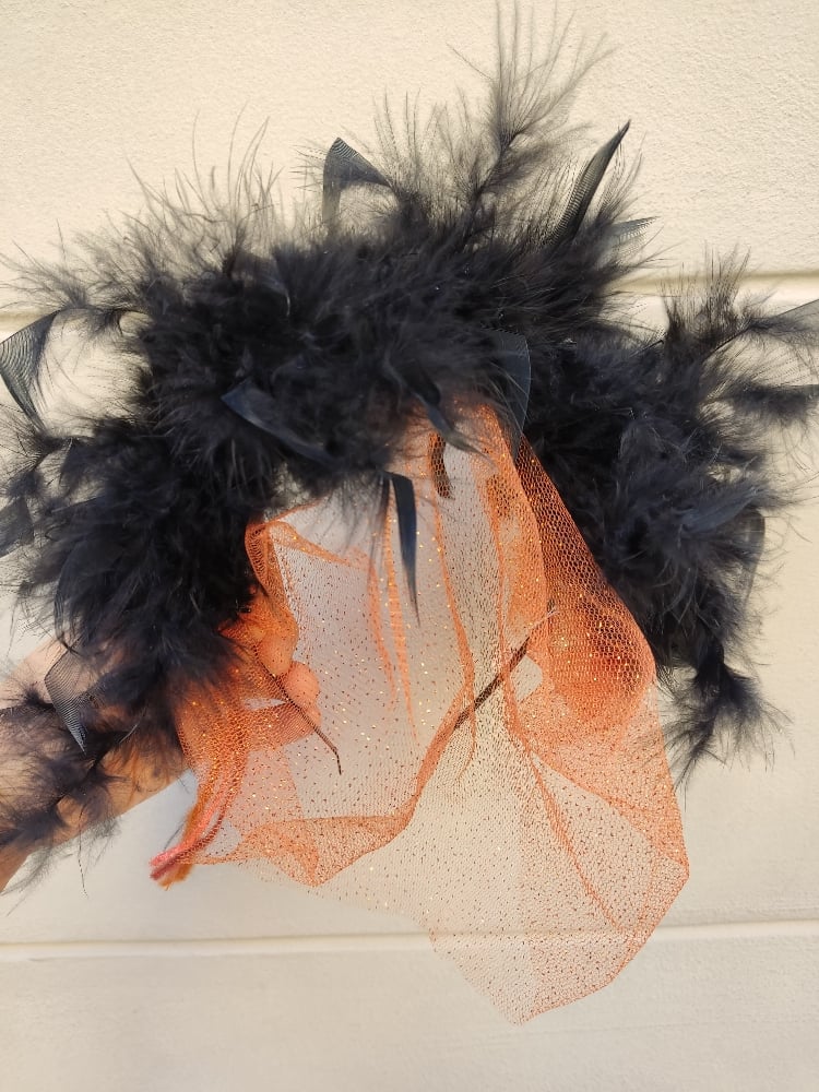 Image of Cerchietto piume e veletta Halloween 