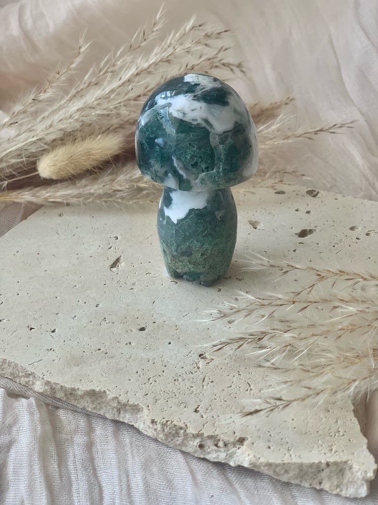 Image of Moss Agate Mushrooms Lge  