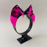 Image 2 of Magenta Star Kitten
