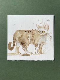 Image 2 of Coffee - Kitty Cat Study