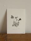 Common Dog-Violet - A6 - Original Botanical Monoprint