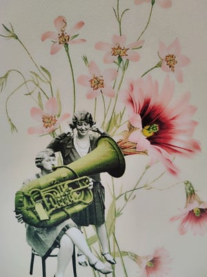 Image of Concierto entre las flores.