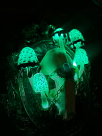 Image 4 of skull frame LED