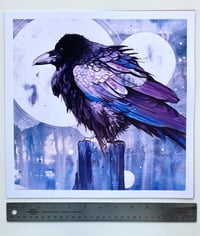 Image 3 of PRINT - Floofy Raven