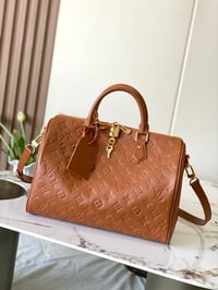 Image 1 of LV Speedy Soft Handbag
