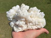 Image 7 of White Calcite Crystal Reef Formation Specimen #1237