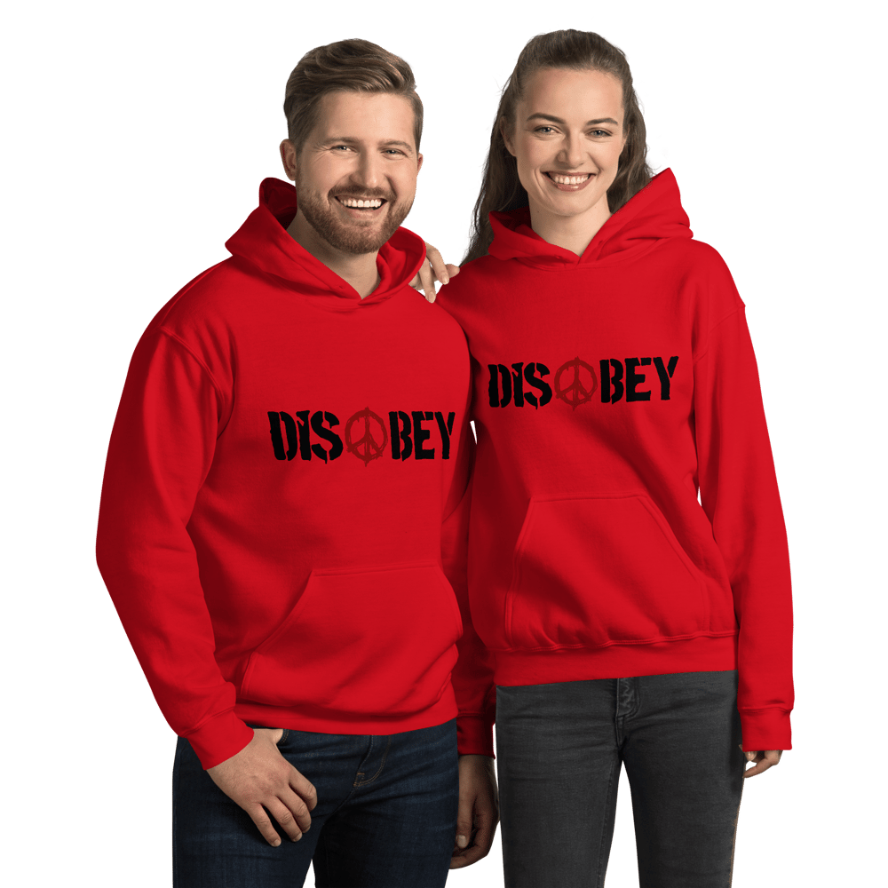 PRINTED DISOBEY LOGO HEAVY HOODIE