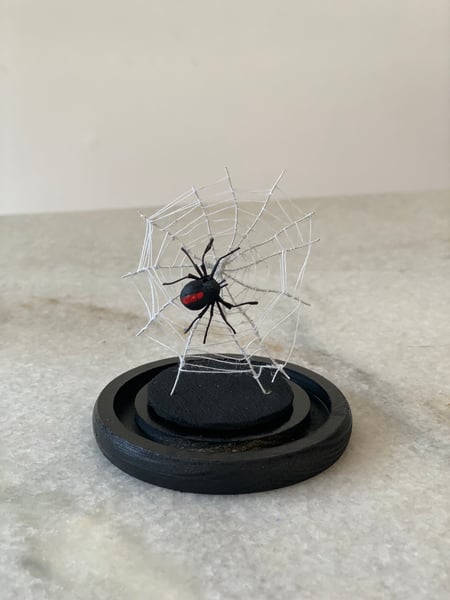 Image of Redback spider and web faux taxidermy specimen 