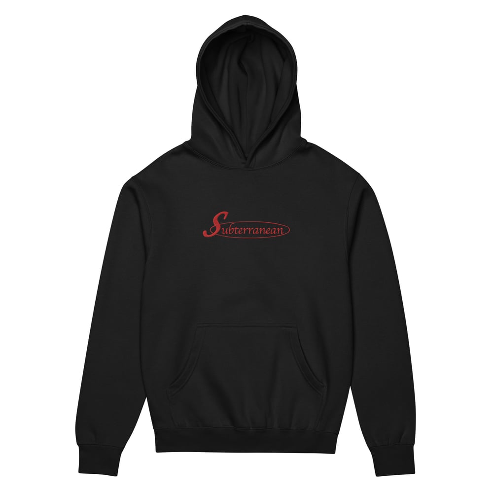Subterranean Boxy Hoodie