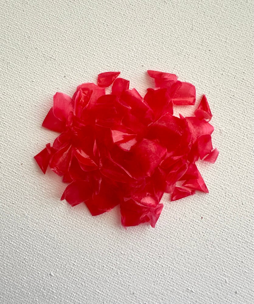Image of Dyed fish scales - Neon pink