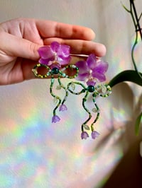 Image 2 of 💜🍃🌿Garden Bow Orchids💜🍃🌿