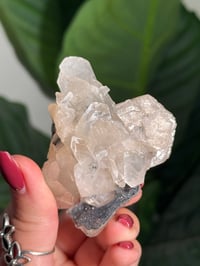 Image 4 of BOWTIE STILBITE X DIAMOND APOPHYLITE -INDIA- G