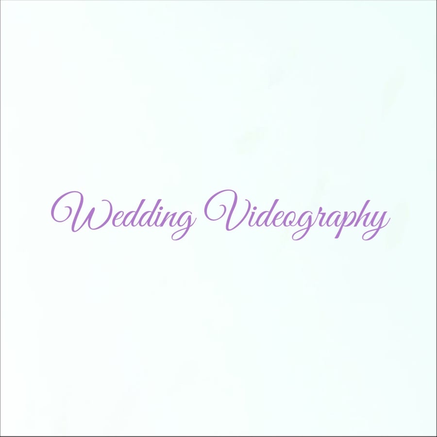 Image of Wedding Videography Services