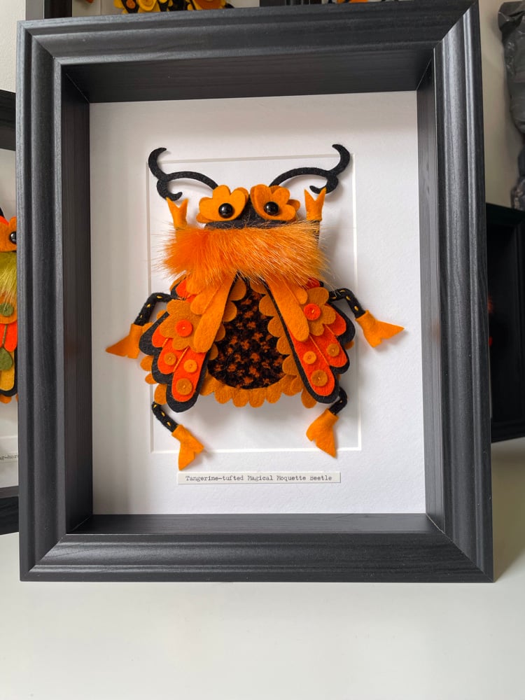 Image of Tangerine-tufted Magical Moquette Beetle 