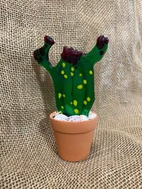 Image 6 of Cactus