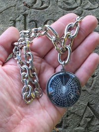 Image 1 of Spiked - Arachne Chain - preserved web C