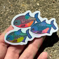 Image 5 of Piranha Holo 3” Sticker