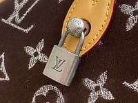 Image 4 of LV Pharrell Velvety Speedy
