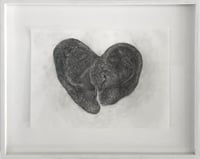 Image 1 of Klara Hobza, Ears of a 38 and 48 year old, 2021, pencil on paper, 29,7 x 21 cm 