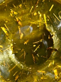 Image 5 of GARDEN OF WASILAAH | Anti-Inflammatory Clarifying Concentrate
