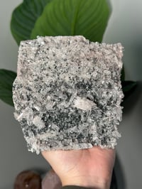 Image 1 of SELF STANDING COOKIES AND CREAM COLOMBIAN NEEDLE QUARTZ