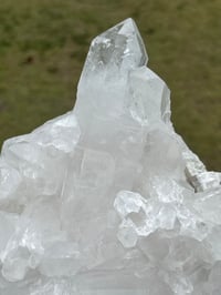 Image 5 of Clear Quartz Crystal Points Cluster #346