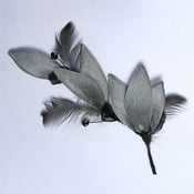 Image of R10 Stemmed Gray Petals