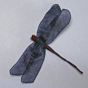 Image of R38  Dragonfly
