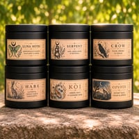 Image 1 of The Quiet Wild Collection 