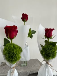 Image 2 of SRVD ‘Single’ Rose