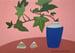 Image of Blue Pot and Ivy