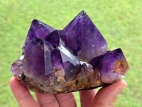 Image 15 of Amethyst Points Cluster | Congo #2869